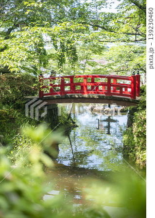 打吹公園の新緑・初夏の風景　倉吉市 139230460