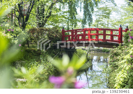 打吹公園の新緑・初夏の風景 倉吉市 打吹公園の新緑・初夏の風景 倉吉市 139230461