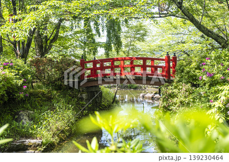打吹公園の新緑・初夏の風景　倉吉市 139230464