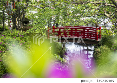 打吹公園の新緑・初夏の風景 倉吉市 打吹公園の新緑・初夏の風景 倉吉市 139230465