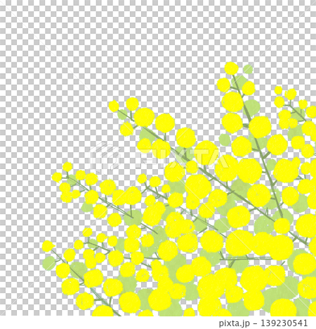 ミモザ ミモザ 139230541