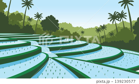 Layered Terraces Bali Rice Flat Design Illustration Layered Terraces Bali Rice Flat Design Illustration 139230577