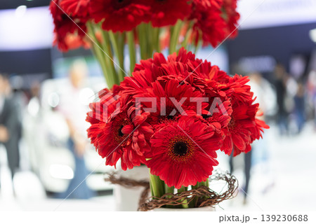 Close up of red gerbera flowers arranged in vase with soft blurred background showing vibrant petals fresh floral decoration and elegant event display Close up of red gerbera flowers arranged in vase with soft blurred background showing vibrant petals fresh floral decoration and elegant event display 139230688