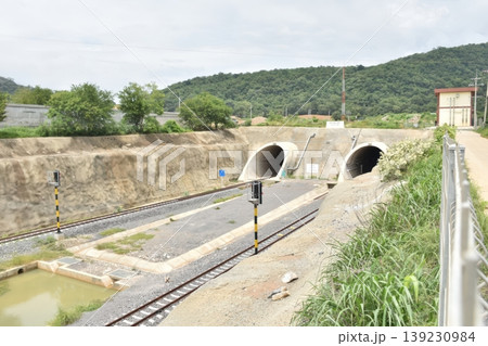 Modern Twin Railway Tunnel Entrances with Tracks and Signal Lights in Rural Landscape 139230984