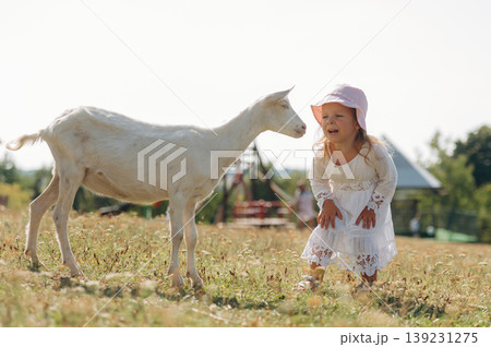 Little girl is on the goat farm outdoors at daytime Little girl is on the goat farm outdoors at daytime 139231275