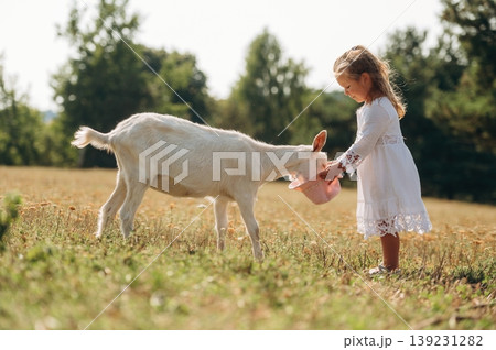 Little girl is on the goat farm outdoors at daytime 139231282