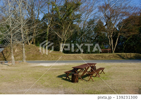 山林自然公園の木のベンチ 山林自然公園の木のベンチ 139231300