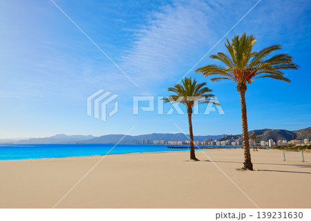 Cullera Playa los Olivos beach Valencia at Spain Cullera Playa los Olivos beach Valencia at Spain 139231630