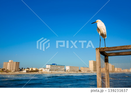 Daytona Beach in Florida from pier US Daytona Beach in Florida from pier US 139231637