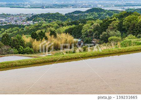 大津市八屋戸の棚田　滋賀県 139231665