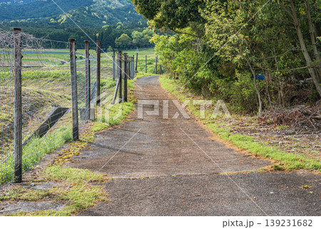 大津市八屋戸の棚田 滋賀県 大津市八屋戸の棚田 滋賀県 139231682