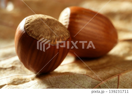 Delicious hazelnuts, macro detail, warm golden light 139231711