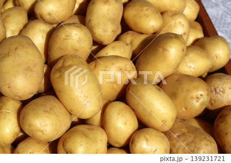 poratoes many in market stand yellow brown poratoes many in market stand yellow brown 139231721