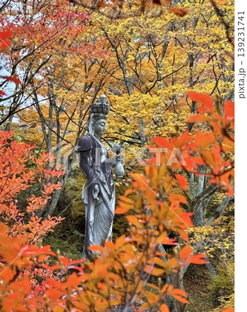 紅葉に包まれながら、観音像 139231741