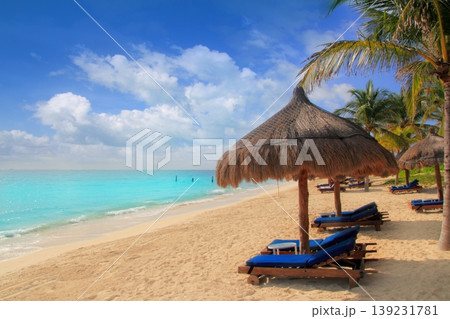 Mayan Riviera beach palm trees sunroof Caribbean 139231781