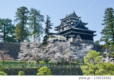 桜と国宝松江城 桜と国宝松江城 139232082