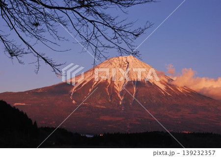 静岡県富士宮、 夕陽に染まる田貫湖の「富士山」 139232357