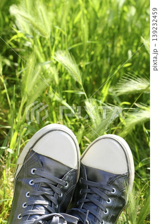 relaxed silver shoes having rest meadow field 139232459
