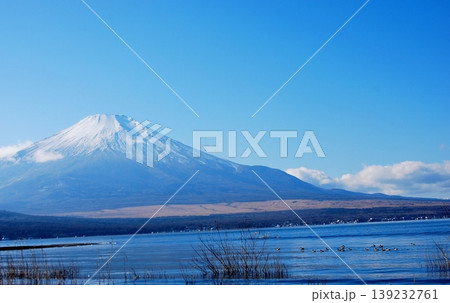 青空の 山中湖とカモと「富士山」 青空の 山中湖とカモと「富士山」 139232761