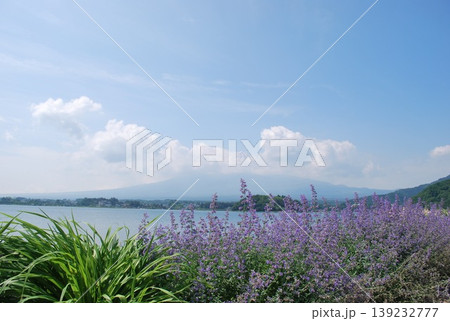 山梨県河口湖町、湖畔の風景、 山梨県河口湖町、湖畔の風景、 139232777
