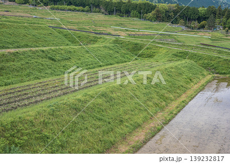 大津市八屋戸の棚田 滋賀県 大津市八屋戸の棚田 滋賀県 139232817