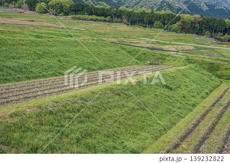 大津市八屋戸の棚田　滋賀県 139232822