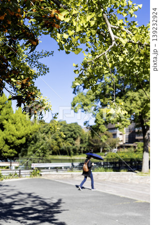 残暑厳しい初秋、金木犀咲く公園風景-2 139232924