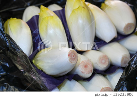 Fresh White and Yellow Endive Chicory Heads Displayed Neatly in Market Stall Fresh White and Yellow Endive Chicory Heads Displayed Neatly in Market Stall 139233906