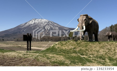 国道18号からの野尻湖ナウマンゾウの親子像と残雪の黒姫山 国道18号からの野尻湖ナウマンゾウの親子像と残雪の黒姫山 139233954