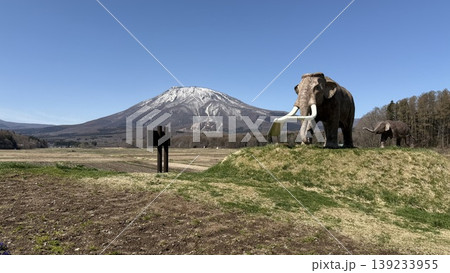 国道18号からの野尻湖ナウマンゾウの親子像と残雪の黒姫山 国道18号からの野尻湖ナウマンゾウの親子像と残雪の黒姫山 139233955