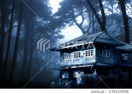 Old abandoned house in the night forest. Horizontal Halloween banner with haunted house. Scary colonial cottage in mysterious forestland. Photo toned in blue color Old abandoned house in the night forest. Horizontal Halloween banner with haunted house. Scary colonial cottage in mysterious forestland. Photo toned in blue color 139234046