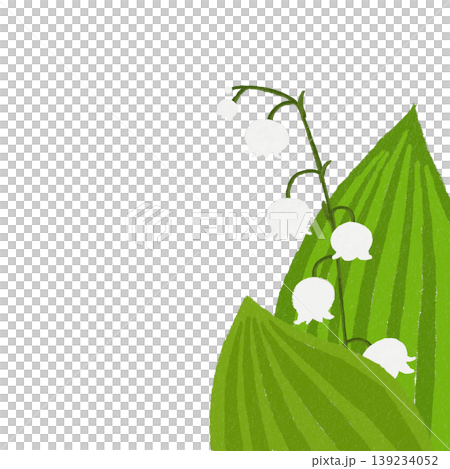 すずらん 139234052