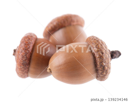 Acorn oak isolated on white background. Ripe brown acorns. Clipping path. Acorn oak isolated on white background. Ripe brown acorns. Clipping path. 139234146