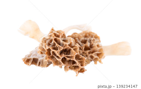 Morel mushroom isolated on white background. Morchella esculenta. Spring edible fungi. Clipping path. Morel mushroom isolated on white background. Morchella esculenta. Spring edible fungi. Clipping path. 139234147