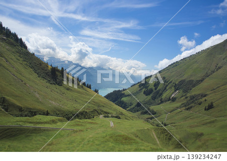 Aerial view of a lush green mountain valley and Lake Brienz in Switzerland 139234247