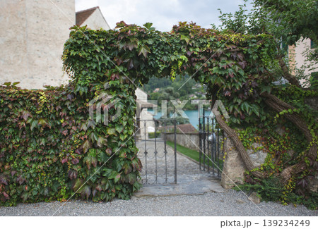 Wrought iron gate covered with thick ivy leading to Lake Thun in Spiez Switzerland 139234249