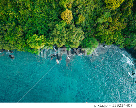 Top-down view of lush jungle meeting the ocean at a rocky shore. 139234407