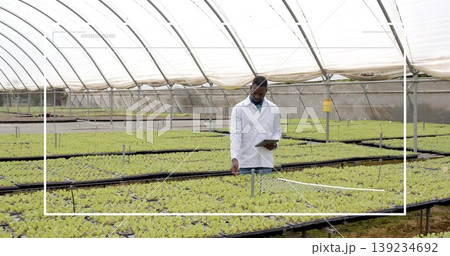 Researcher in lab coat holding digital tablet and touching plant in greenhouse, with trays on racks 139234692