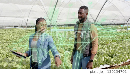 Examining two farm experts analyzing AR data on tablet among lettuce rows in greenhouse Examining two farm experts analyzing AR data on tablet among lettuce rows in greenhouse 139234701