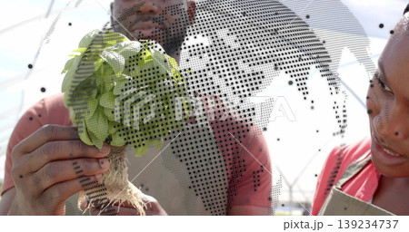 Worker in green apron holding plant roots while coworker watching in hoophouse, world map overlay 139234737