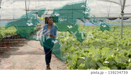 Inspecting lettuce researcher walking down greenhouse dirt aisle, with tablet and world map overlay Inspecting lettuce researcher walking down greenhouse dirt aisle, with tablet and world map overlay 139234739