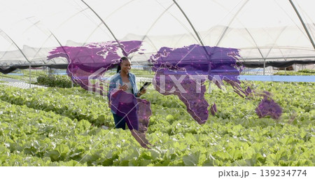 Examining greenhouse lettuce rows, Black agronomist holding tablet with purple world map overlay 139234774