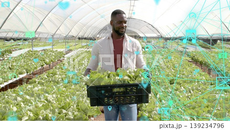 Holding black plastic crate, male farm worker harvesting lettuce in greenhouse, network overlay Holding black plastic crate, male farm worker harvesting lettuce in greenhouse, network overlay 139234796