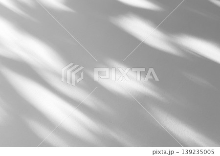 Abstract natural tree branch leaves shadow on white wall background Abstract natural tree branch leaves shadow on white wall background 139235005