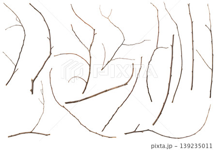 Dry tree branches set isolated on white background 139235011