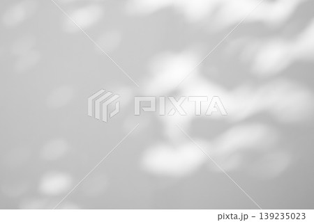 Abstract natural tree leaves shadow on white wall background 139235023