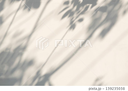 Abstract natural tree leaves shadow on white wall background Abstract natural tree leaves shadow on white wall background 139235038