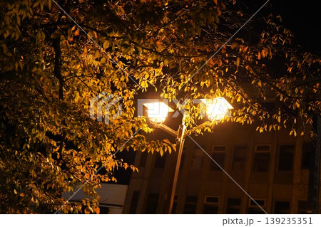 夜の街灯に照らされる木の葉と静寂な暗闇のコピースペース 夜の街灯に照らされる木の葉と静寂な暗闇のコピースペース 139235351