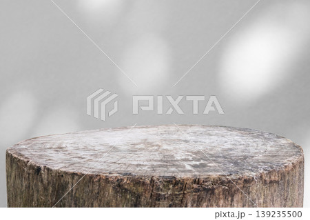 Tree stump with tree shadow drop on white wall background for mockup product display Tree stump with tree shadow drop on white wall background for mockup product display 139235500