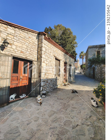 Street with stray cats and stone houses in Eski Datca, Turkey 139235642